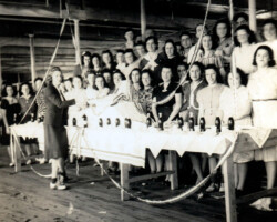 Sylvia Gerard cuts the cake at an employees’ party in celebration of Franklin Delano Roosevelt’s reelection to his third term as president, November, 1940, at Plymouth Sportswear Company, Inc., Fall River, Massachusetts. Among the group of employees assembled behind the table are her father, Arnold Gerard, and her mother, née Sophie Altschuler.