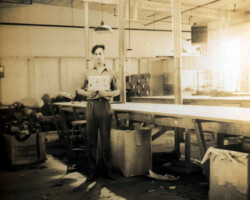 An employee of Plymouth Sportswear Company, Inc., Fall River, Massachusetts, posing in the cutting department, 1940.